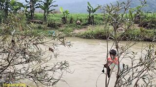 Ловушки на ручье у Khai как набрать 20 кг рыбы на продажу