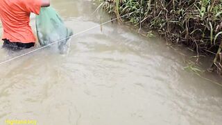 Ловушки на ручье у Khai как набрать 20 кг рыбы на продажу