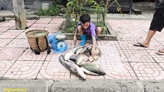 Ловушки на ручье у Khai как набрать 20 кг рыбы на продажу