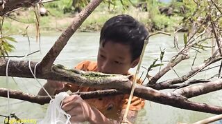 Ловушки на ручье у Khai как набрать 20 кг рыбы на продажу