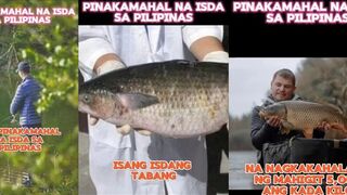 pinakamahal na isda sa pilipinas