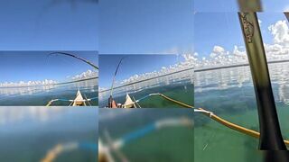 Pangingisda sa Dagat: Mga Karaniwang Isda sa Pilipinas #fishing #fishboat #sailfishing
