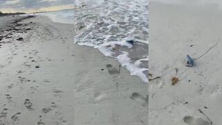 Varadero beach, медузы у берега и стоит ли заходить в воду?