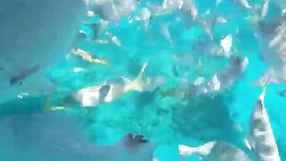 Varadero snorkeling fun!