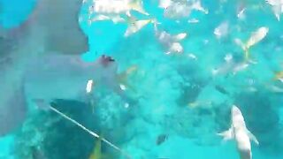 Varadero snorkeling fun!