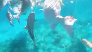 Varadero snorkeling fun!