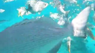 Varadero snorkeling fun!