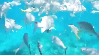 Varadero snorkeling fun!