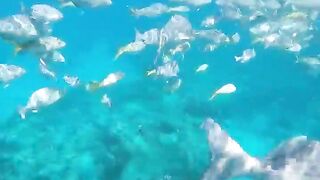 Varadero snorkeling fun!