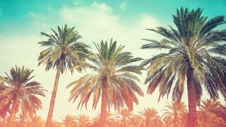 Рыбалка на Cuba Куба Varadero 2023 что клюет у берега и на что ловили