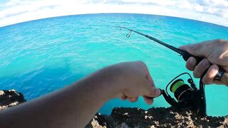 Рыбалка на Cuba Куба Varadero 2023 что клюет у берега и на что ловили