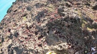 Рыбалка на Cuba Куба Varadero 2023 что клюет у берега и на что ловили