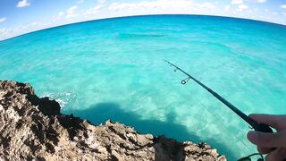 Рыбалка на Cuba Куба Varadero 2023 что клюет у берега и на что ловили