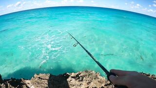 Рыбалка на Cuba Куба Varadero 2023 что клюет у берега и на что ловили