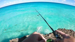 Рыбалка на Cuba Куба Varadero 2023 что клюет у берега и на что ловили