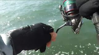 морская рыбалка в Varadero: Caranx и барракуда с берега Cuba 2021