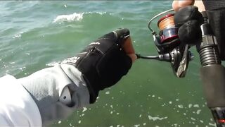 морская рыбалка в Varadero: Caranx и барракуда с берега Cuba 2021