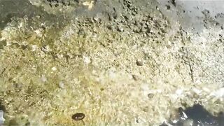 морская рыбалка в Varadero: Caranx и барракуда с берега Cuba 2021