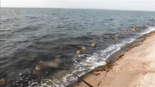 морская рыбалка в Varadero: Caranx и барракуда с берега Cuba 2021