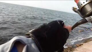 морская рыбалка в Varadero: Caranx и барракуда с берега Cuba 2021