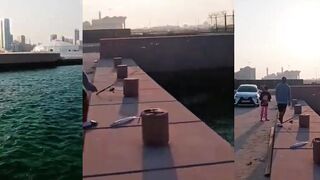 Bahrain короткий шорт с берега куда выходят за хищником и когда лучше