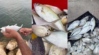 صيد السمك في البحرين ماهيگ ءِ شکار что ловят и на что выходят