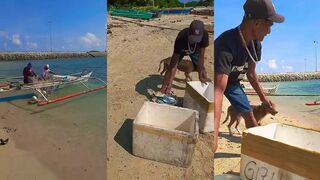 Boracay/Боракай - райский остров Филиппин и ловля с берега во влоге