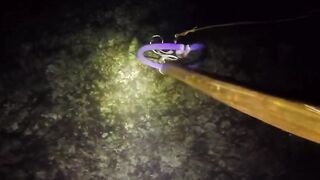 UMIKOT DINAKMA, PUMASOK DINOKOT