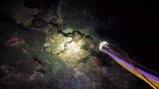 UMIKOT DINAKMA, PUMASOK DINOKOT