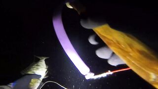 UMIKOT DINAKMA, PUMASOK DINOKOT