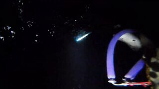 UMIKOT DINAKMA, PUMASOK DINOKOT