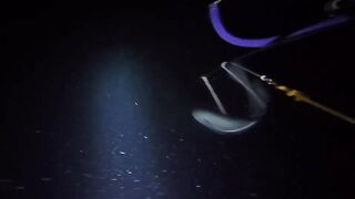 UMIKOT DINAKMA, PUMASOK DINOKOT