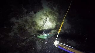 UMIKOT DINAKMA, PUMASOK DINOKOT