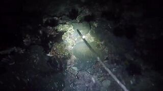 UMIKOT DINAKMA, PUMASOK DINOKOT