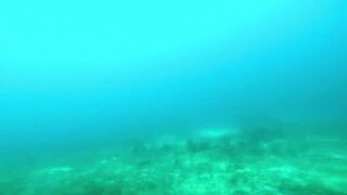 NAHIRAPAN AKONG MAMILI , TANIGUE OR GIANT TREVALLY 