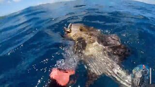 NATAGPUAN NAMIN ANG BAHAY NG LOBSTER 