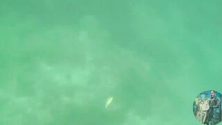 NATAGPUAN NAMIN ANG BAHAY NG LOBSTER 