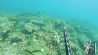 NATAGPUAN NAMIN ANG BAHAY NG LOBSTER 