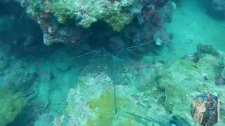 NATAGPUAN NAMIN ANG BAHAY NG LOBSTER 