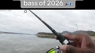 That’s how you set the hook 
