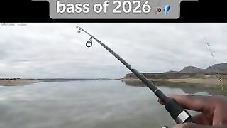 That’s how you set the hook 