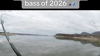 That’s how you set the hook 