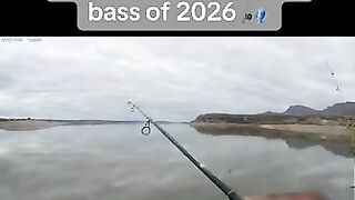 That’s how you set the hook 
