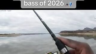 That’s how you set the hook 