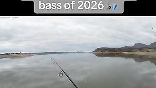 That’s how you set the hook 