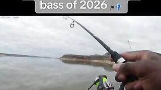 That’s how you set the hook 