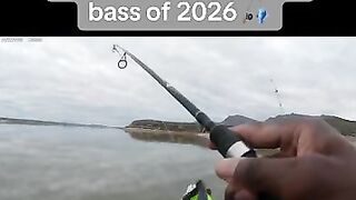 That’s how you set the hook 