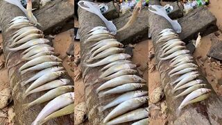 ปลาทราย с берега что за рыба и на что она лучше берет?