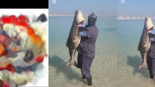 Каяк морская рыбалка в Дубае трофейная кобия больше пятидесяти килограммов