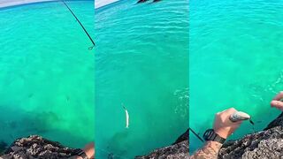 Очередной день очередной lizardfish береговой спиннинг и солёный ветер